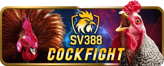 Phân tích bảo mật của nền tảng oxbet link